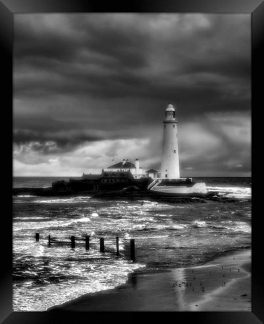  St Marys Lighthouse Framed Print by Alexander Perry