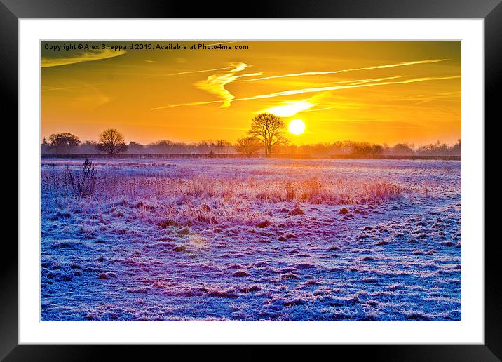  Winter's Morn Framed Mounted Print by Alex Sheppard