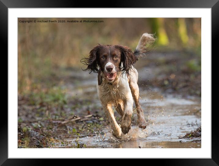 Muddy Springer Framed Mounted Print by michael freeth