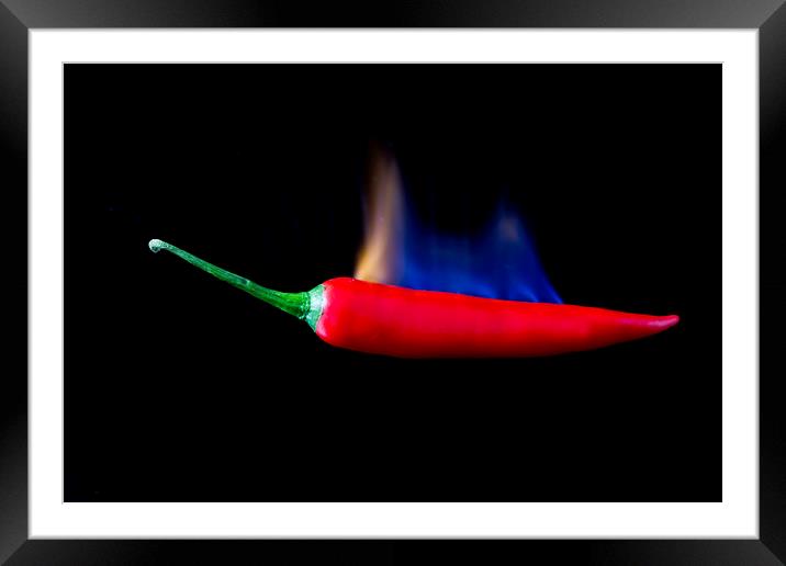 Red Hot Chilli Framed Mounted Print by Des O'Connor