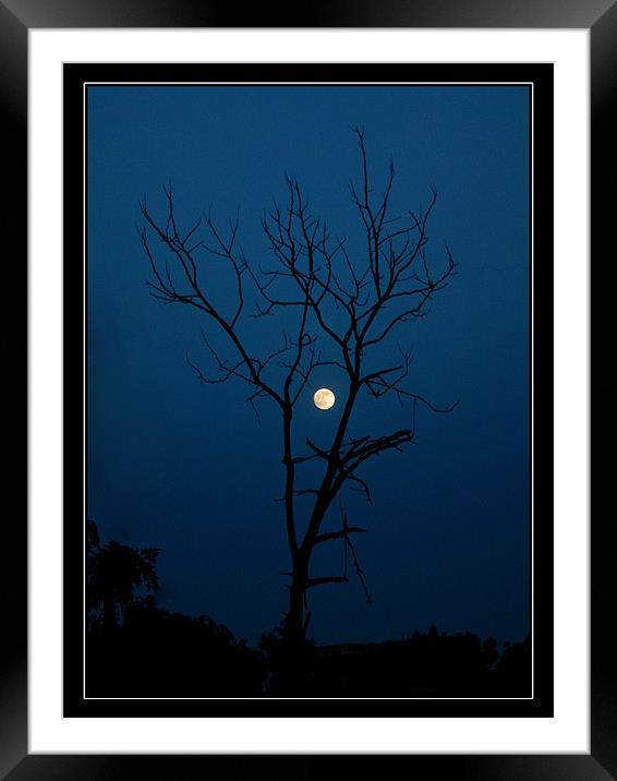 1496_24602 Framed Mounted Print by SAURABH SRIVASTAVA