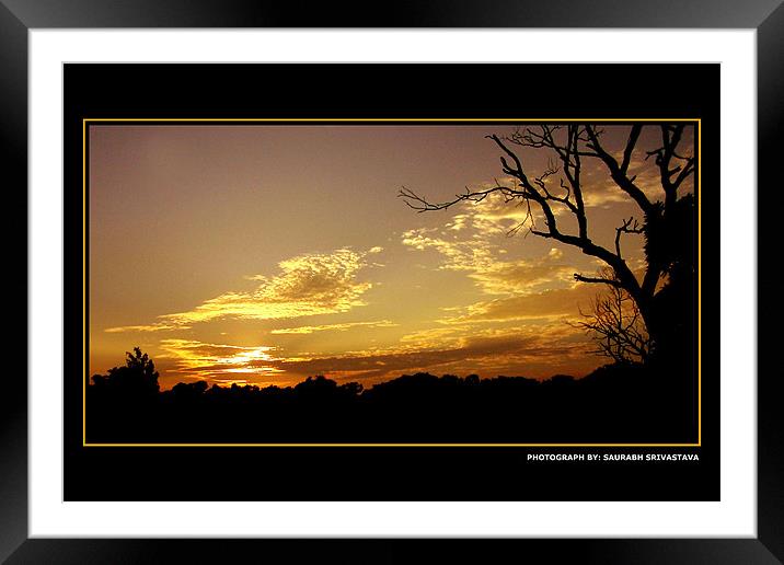 1496_59550 Framed Mounted Print by SAURABH SRIVASTAVA