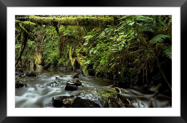  Latourell Creek, Oregon Framed Mounted Print by Hans Franchesco