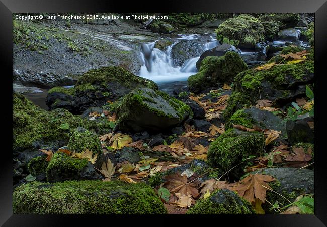  Fall on Tanner Creek, Oregon Framed Print by Hans Franchesco