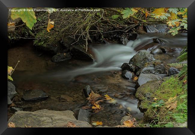  Hidden beauty Framed Print by Hans Franchesco