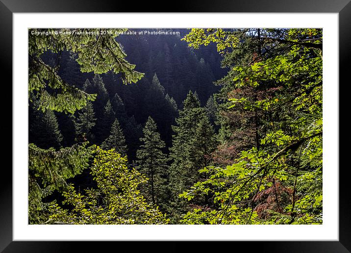  Through the trees Framed Mounted Print by Hans Franchesco