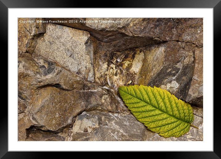 The leaf Framed Mounted Print by Hans Franchesco