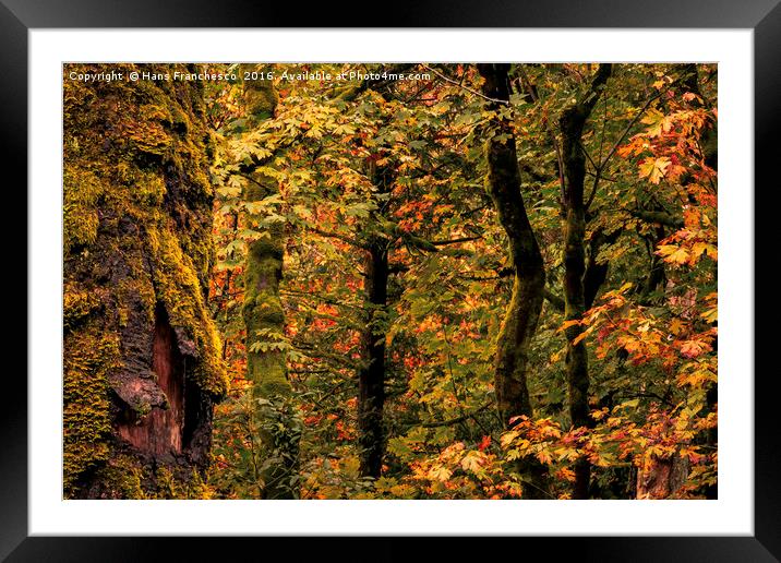 Fall is coming Framed Mounted Print by Hans Franchesco