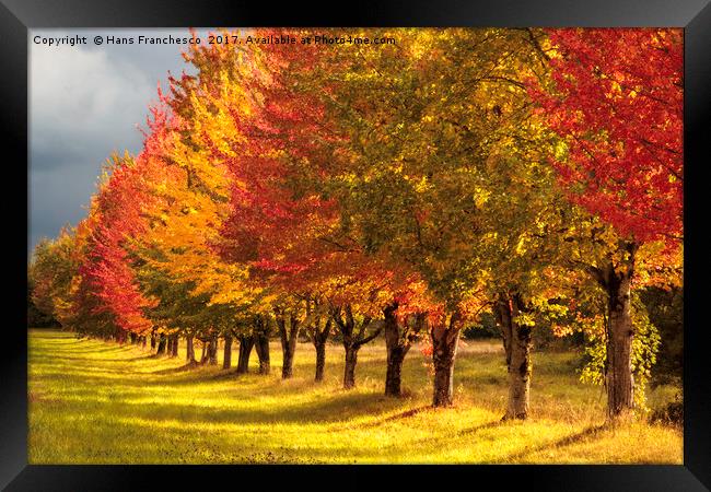 All the Autumn colors Framed Print by Hans Franchesco