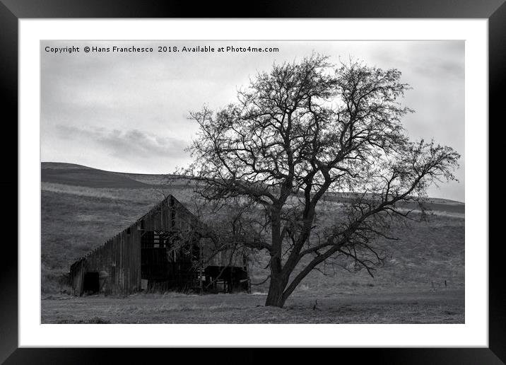 The barn and the tree Framed Mounted Print by Hans Franchesco