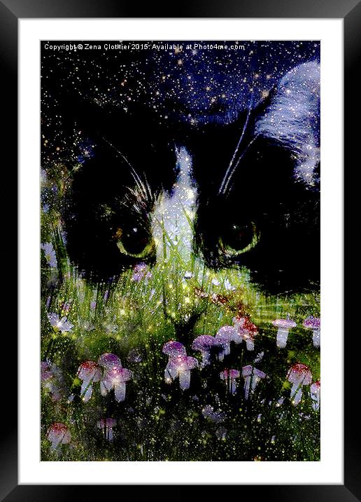  Starry Eyes Framed Mounted Print by Zena Clothier