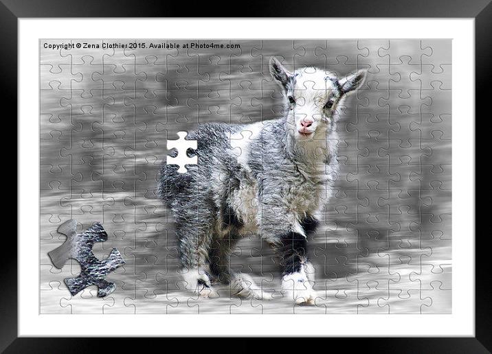  Just Kidding! Framed Mounted Print by Zena Clothier
