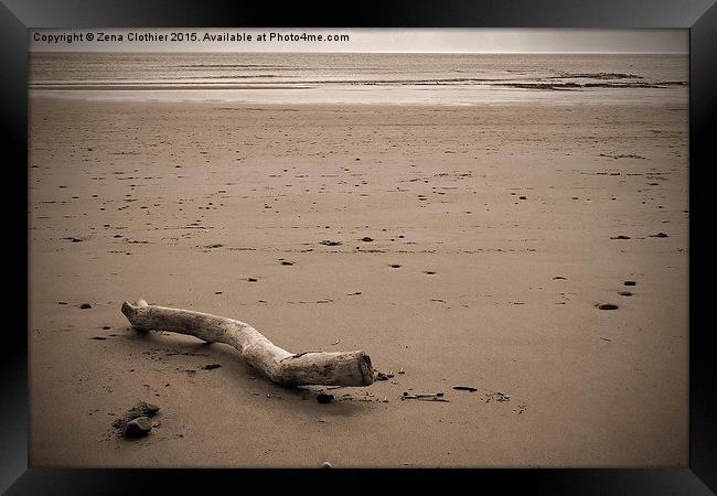  Driftwood on the Beach Framed Print by Zena Clothier