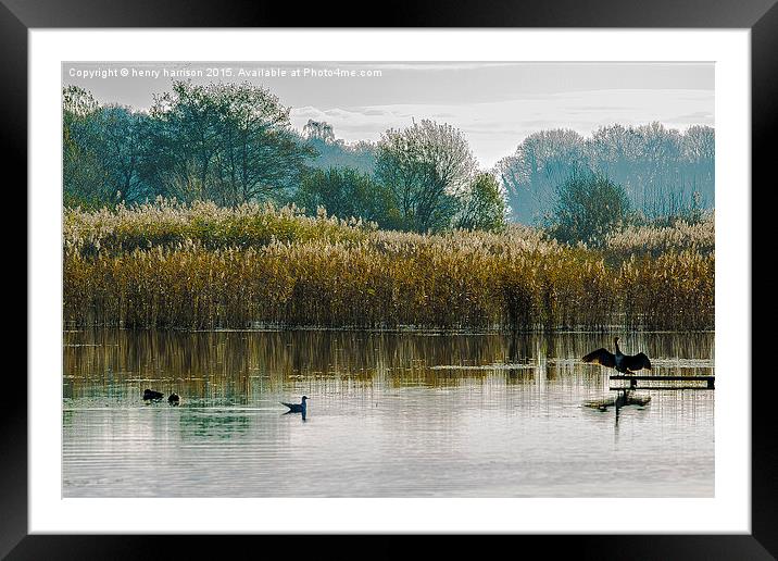  The Wetlands Framed Mounted Print by henry harrison