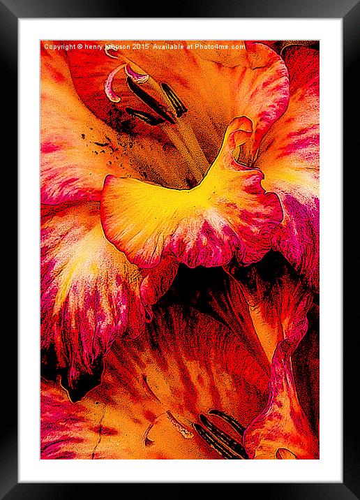  Flower Love Framed Mounted Print by henry harrison