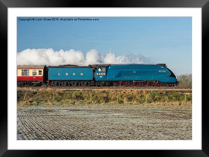  LNER Class A4 4464 Bittern Steam Locomotive Framed Mounted Print by Liam Shaw