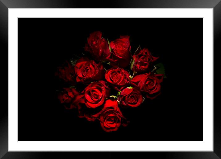 Roses are red Framed Mounted Print by Sonia Packer