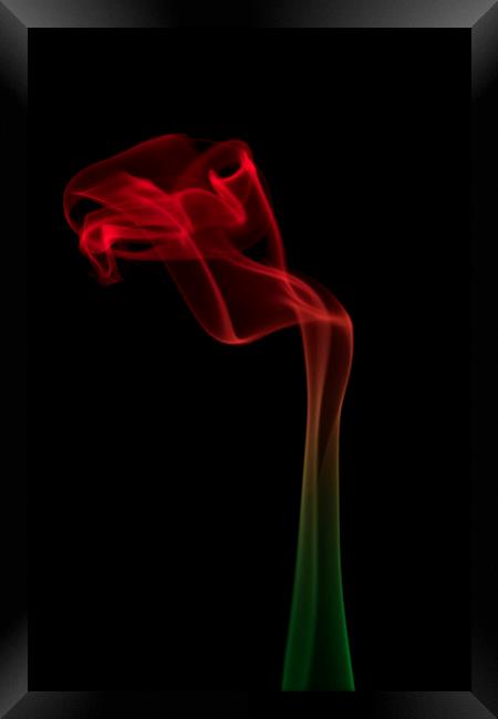 Abstract smoke flower Framed Print by Sonia Packer