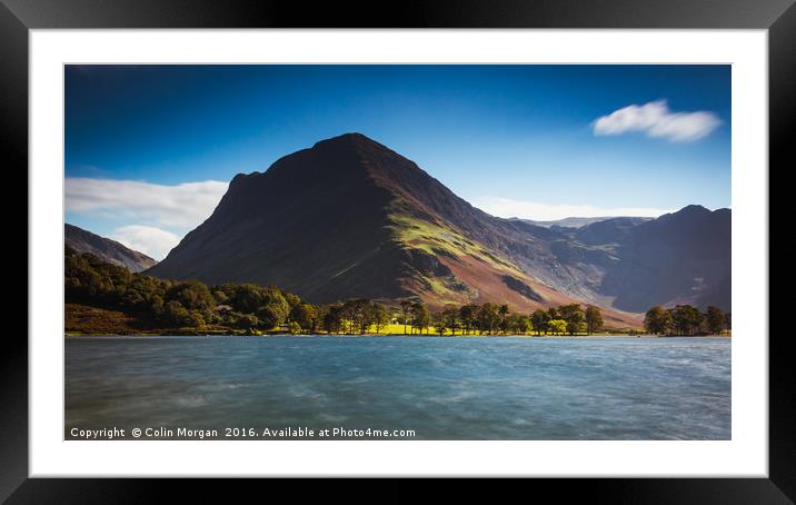 Buttermere Pines and Fleetwith Pike, Buttermere Framed Mounted Print by Colin Morgan