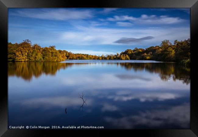 Bolam Lake Tranquil Autumn Blue Framed Print by Colin Morgan