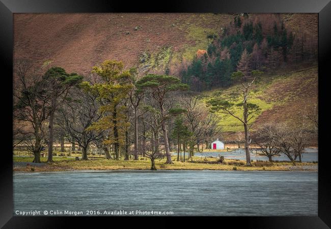 Buttermere Pines Cottage Framed Print by Colin Morgan