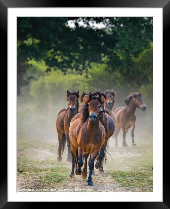 Hoses Galloping  Framed Mounted Print by kevin long