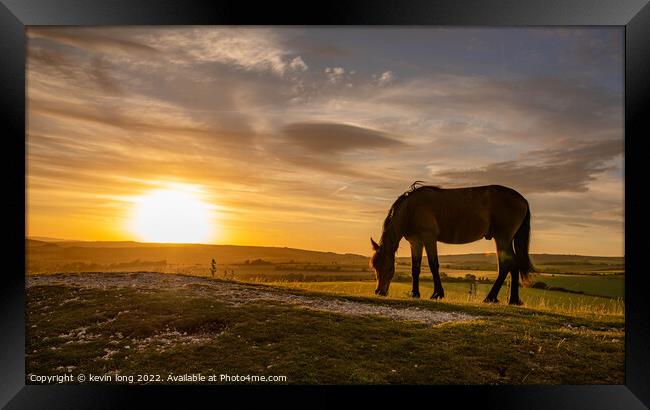 Horses at Sunset  Framed Print by kevin long