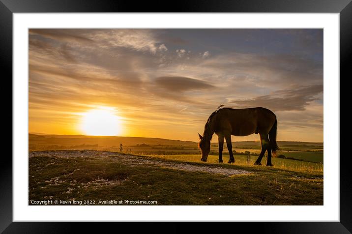 Horses at Sunset  Framed Mounted Print by kevin long