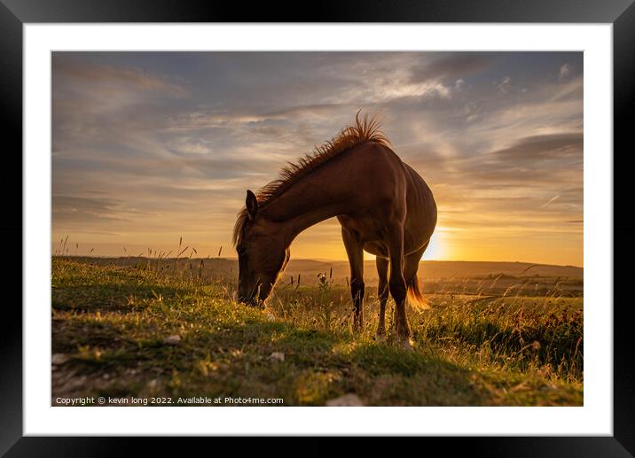 A horse standing on top of a grass covered field Framed Mounted Print by kevin long