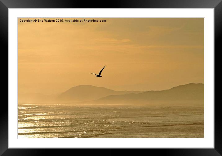  Flight in Evening Light Framed Mounted Print by Eric Watson