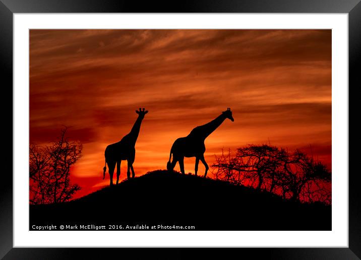 Giraffe Silhouette  Framed Mounted Print by Mark McElligott
