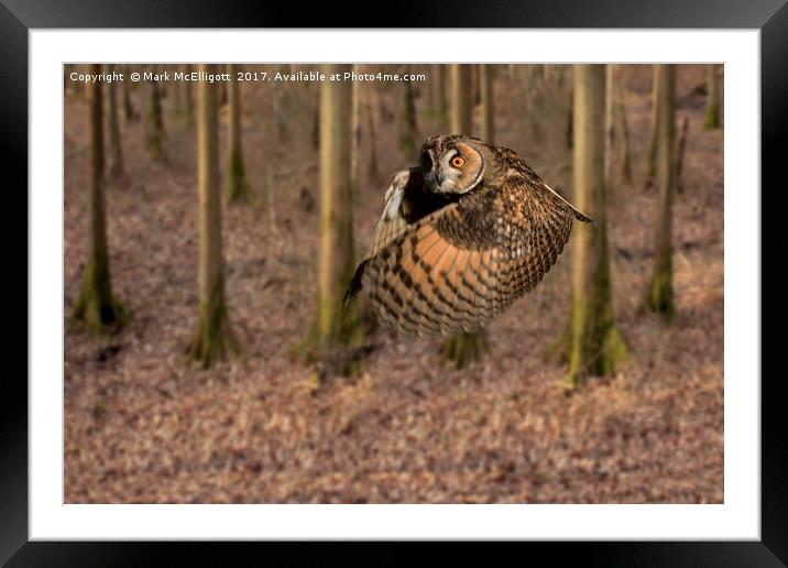 Eagle Owl On It's Daily Hunt Framed Mounted Print by Mark McElligott