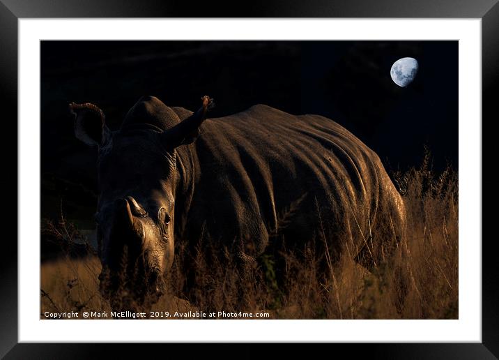 Rhino In The Evening Darkness Framed Mounted Print by Mark McElligott