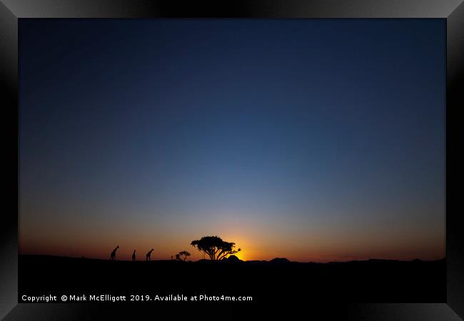 Giraffes At Sunset Framed Print by Mark McElligott