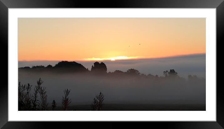 Misty Morning Aberdeen  Framed Mounted Print by ian jackson
