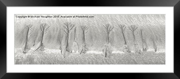  Beach Trees Framed Mounted Print by Michael Houghton