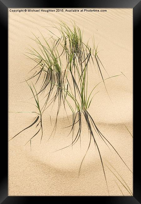 Grasses in the dunes  Framed Print by Michael Houghton