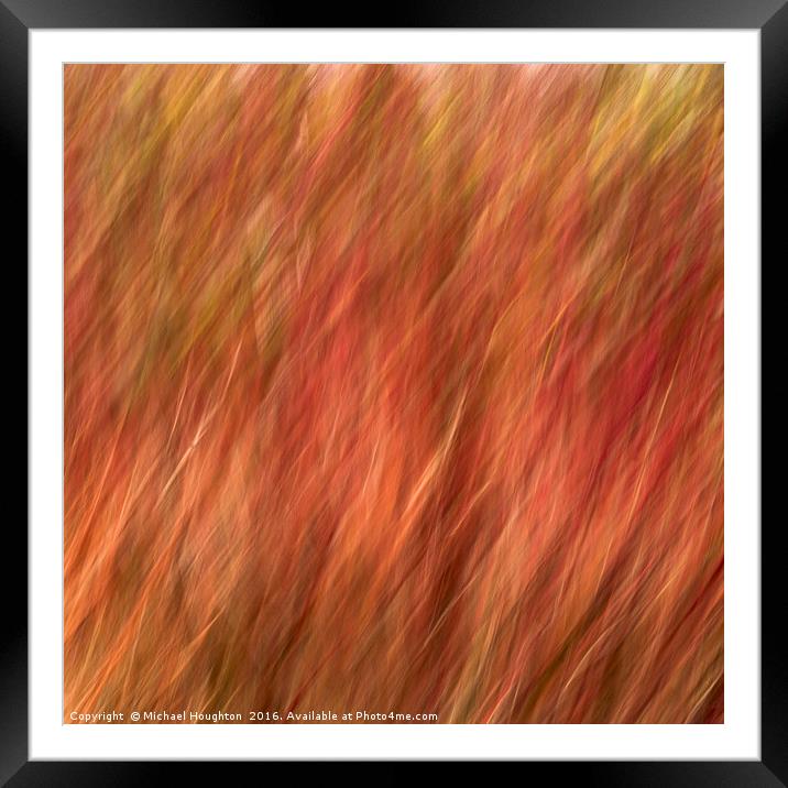 Flaming Dogwood Framed Mounted Print by Michael Houghton