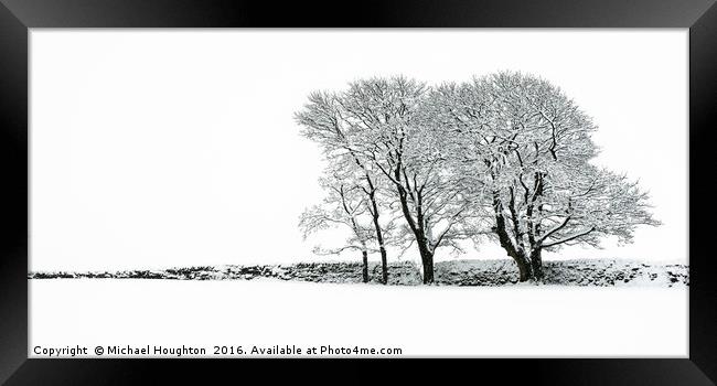 Winter clump Framed Print by Michael Houghton