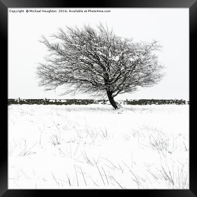 Lone winter tree Framed Print by Michael Houghton