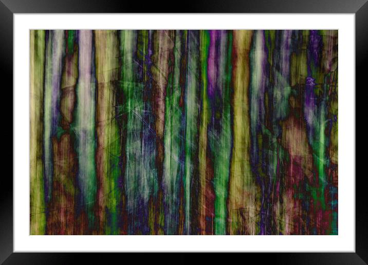 Stained Glass Woods Framed Mounted Print by Michael Houghton