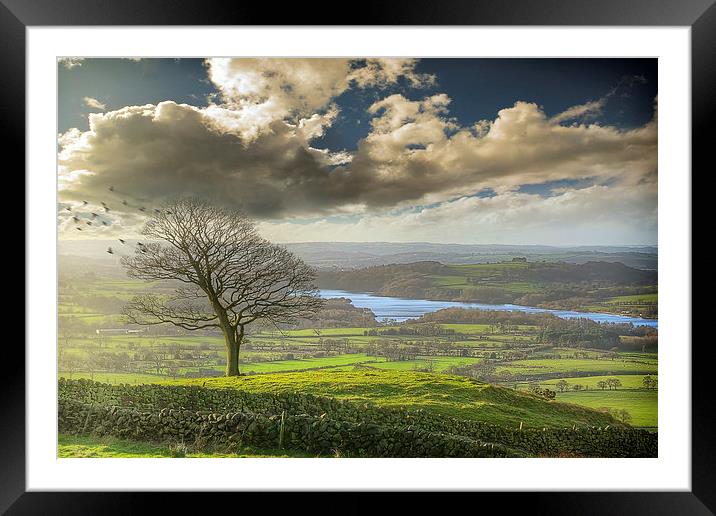 A view of Tittesworth Reservoir  Framed Mounted Print by Andy Evans