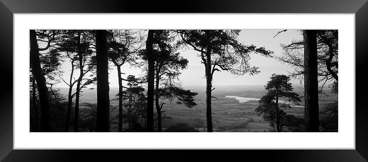 Tittesworth through the woods  Framed Mounted Print by Andy Evans