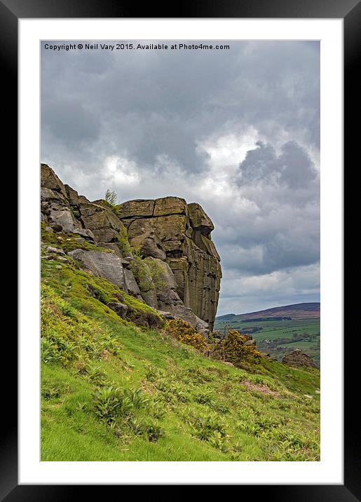 Cow and Calf on Ilkley Moor Framed Mounted Print by Neil Vary