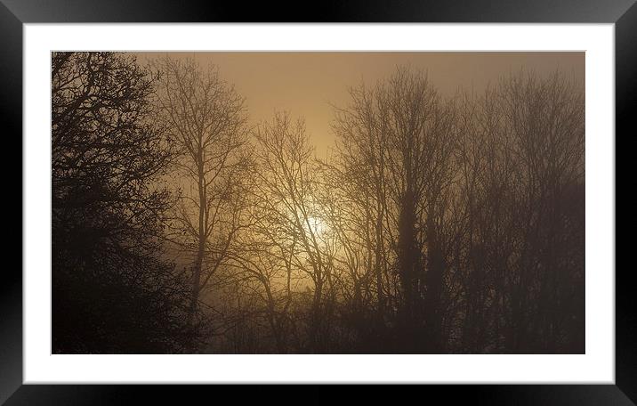  Foggy Forest Sunrise Framed Mounted Print by Jon Gopsill