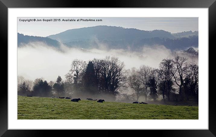  Cows In The Mist Framed Mounted Print by Jon Gopsill