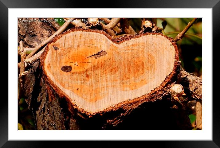  Wooden Heart Framed Mounted Print by Jon Gopsill