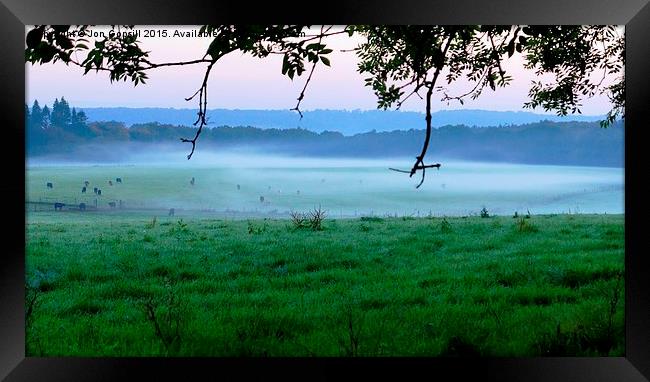 More Cows in the Mist  Framed Print by Jon Gopsill