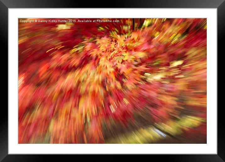  Autumn Burst Framed Mounted Print by Danny Kidby-Hunter