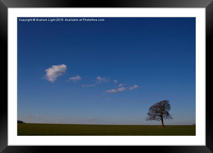  A lonely tree on an early winters morning. Framed Mounted Print by Graham Light